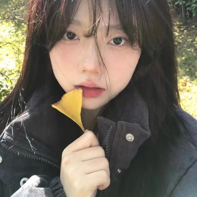 儿子2024